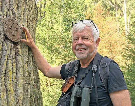 Slutanmärkning Författaren vill tacka Anders Ekstrand (Södra), Karl-Henrik Larsson och Leif Ryvarden (båda Oslo universitet) för värdefull information inför denna uppsats.