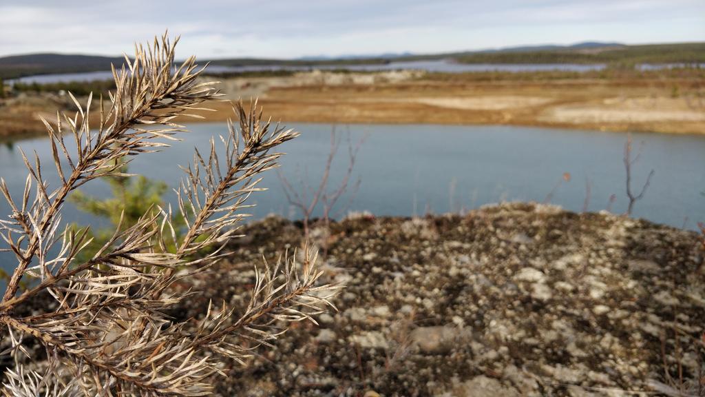 Mapping of contaminant dispersion from a polluted mining area by geochemical and geophysical methods, Rävlidmyran, northern Sweden Use of geochemical and geophysical studies to