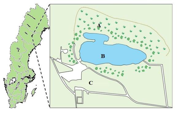 3. Site description 3.1. General description of the area In the Skellefte ore district in the north of Sweden, an old mine is located; Rävlidmyran.