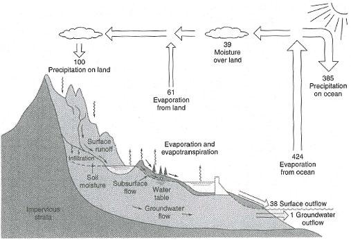 Figure 1 - Hydrologic cycle with global annual average water balance given in units relative to a value of 100 for the rate of precipitation on land (Fetter, 2001), (Todd & Mays, 2005).