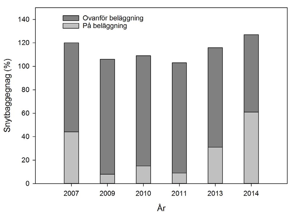 Bara på två objekt (båda från 2013) var mer än 10 % av Conniflex-plantorna dödade av snytbagge.