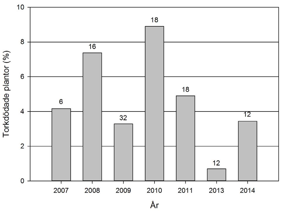 Oftast kan plantdöden dock förklaras med att plantorna exponerats för torka direkt efter plantering och att plantor med beläggningen på stammen är något känsligare för vattenstress.