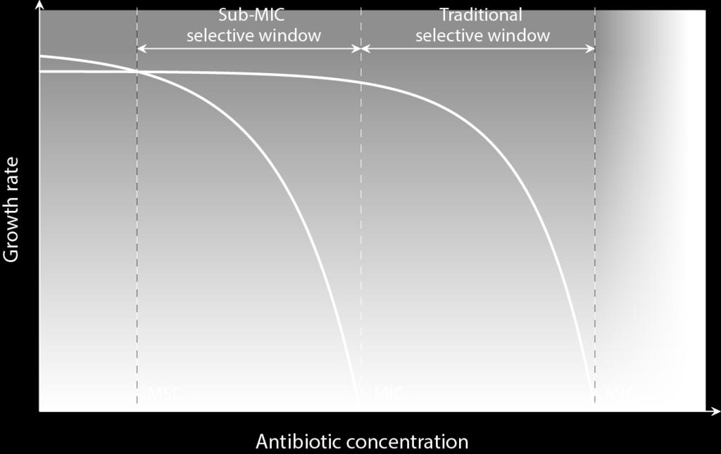 Preventing Concentration MIC = Minimum Inhibitory