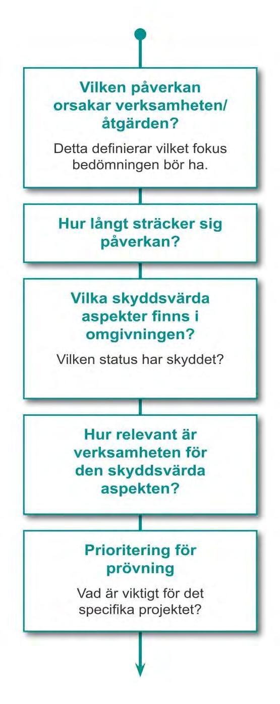 1.5.2 Avgränsningar För att kunna göra en kvalitativ miljöbedömning/miljökonsekvensanalys och fokusera på just de frågor och aspekter som är viktiga i det aktuella fallet är det viktigt att avgränsa