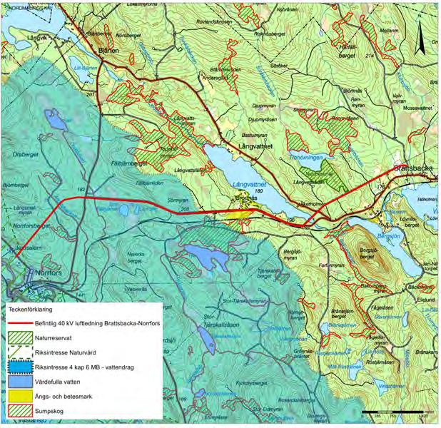 Ängs- och Grönnäs 5 Bete, svag hävd. 0 betesmark Ängs- och Grönnäs 6 Skogsbete, svag hävd. 0 betesmark Sumpskogar Stor-Tjärekallsjön Kärrskog, blandskog av löv och barr.