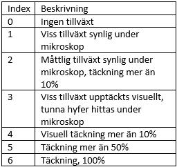 6.4 WUFI BIO Resultatet beskrivs av mould index som redogör för en prognos baserad på myceltillväxt under ett årsperiod.