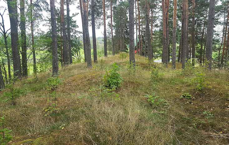 Arkeologgruppen AB rapport 2018:36 OBJEKT 4 Området kring objekt 4 utgörs av öppet och lågt beläget odlingslandskap som genomkorsas av en moränås på vilka gravfält Glanshammar 27:1 och 37:1 är