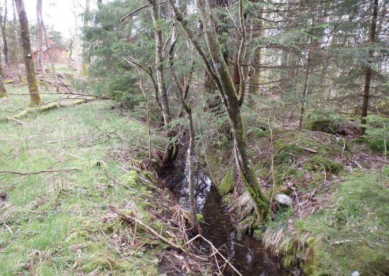 Naturvårdsarter - Medelbredd (m): 0,5 Gränsöverskridande objekt: - 275 ( väster om Rostjärn) 4 Visst naturvärde Lugnflytande med måttlig förekomst av vattenvegetation Visst biotopvärde, obetydligt