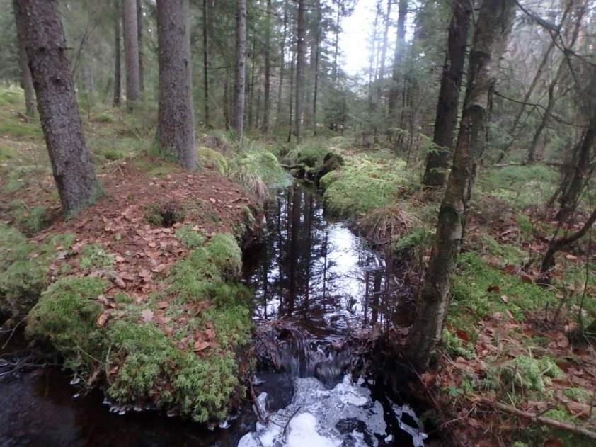 Naturvårdsarter Medelbredd (m): 0,5 Gränsöverskridande objekt: 919 ( vid Björboås) 3 - Påtagligt naturvärde Strömmande vattendrag utan vattenvegetation Ja Visst biotopvärde, visst artvärde Objektet