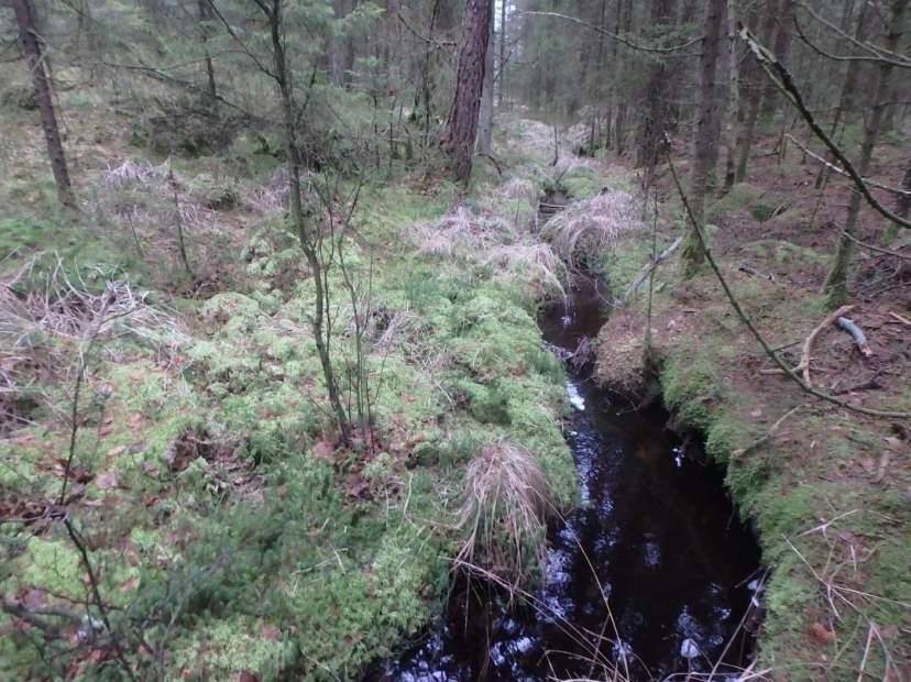 Naturvårdsarter Medelbredd (m): 0,5 Gränsöverskridande objekt: - 920 ( vid Björboås) 3 Påtagligt naturvärde Strömmande vattendrag med sparsam förekomst av vattenvegetation Ja Visst biotopvärde, visst