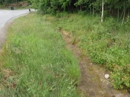 Naturvårdsarter - Medelbredd (m): 0,6 Gränsöverskridande objekt: 1019 ( öster om Mellangården) 4 Visst naturvärde Stillastående vatten Visst biotopvärde,