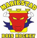 bildades 1998 som Mariestads HC. Det nya namnet tillkom redan 1999.