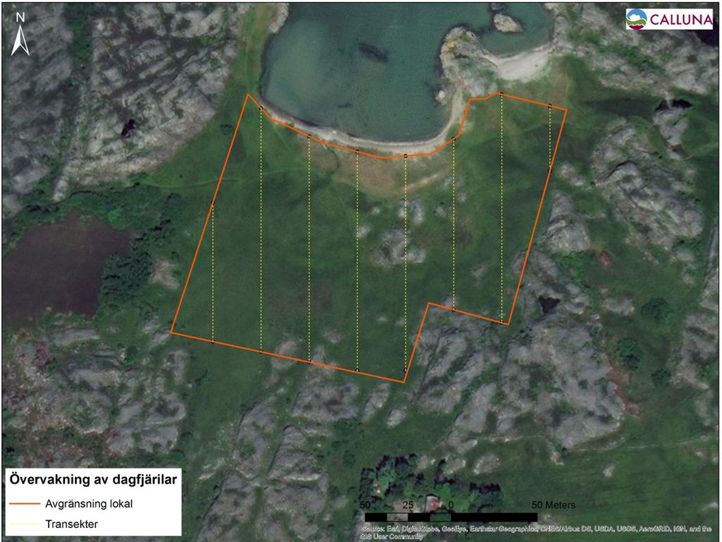 Galterö (område 13) Lokaltyp: 2 Galterö ligger i Göteborgs södra skärgård precis väster om Brännö.