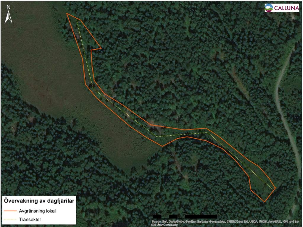 Söder Olofstorp 1 (område 15) Lokaltyp: 3 Området ligger 1,3 km väster om Älsjön i nordöstra delen av kommunen och är en smal remsa med kärr och mosse samt intilliggande hällmark med ljung, blåtåtel