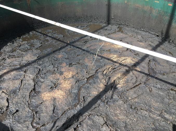 13 A) Cattle slurry (CS), no acid. C) CS, with acid. B) Digested cattle slurry (DCS), no acid.