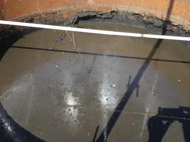 The crust formation was about the same as two months earlier (Figure 5). 3.