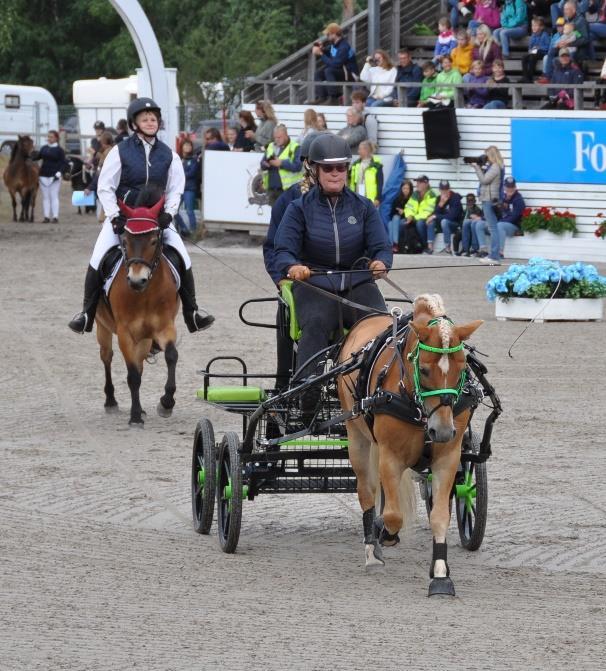 Gotlandsruss Svenska Russavelsföreningen Gotlandsrusset är Sveriges enda inhemska ponnyras och har sitt ursprung på Gotland. Russet är liten allroundponny med mankhöjd mellan 115 130 cm.
