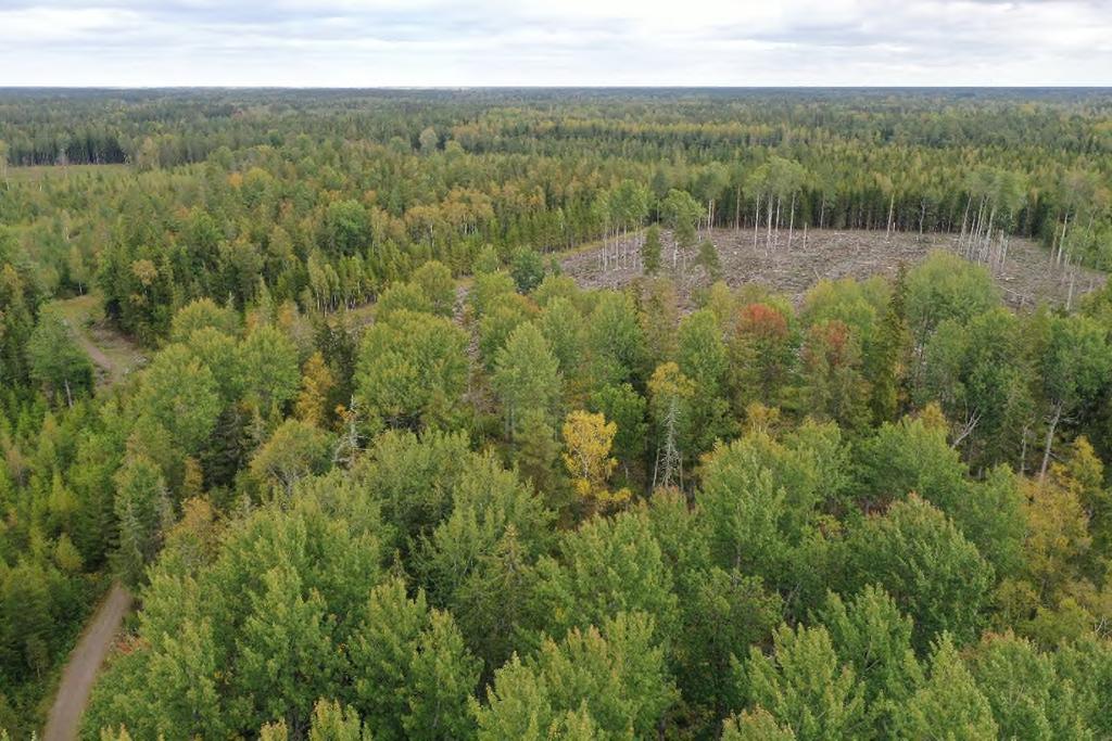 Tillträde Tillträde enligt överenskommelse. Visning Markerna besiktigas främst på egen hand och hänsyn tas till omgivningen.