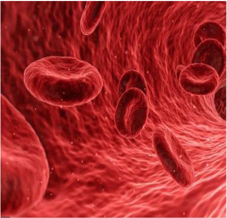 utveckling - RBC immunisering - Infektion (Parvo B19) -