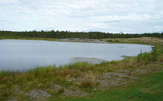 Glöm inte bort att hantera alla befintliga dräneringsledningar. Både för våtmarkens och dräneringens skull. Foto Tilla Larsson.