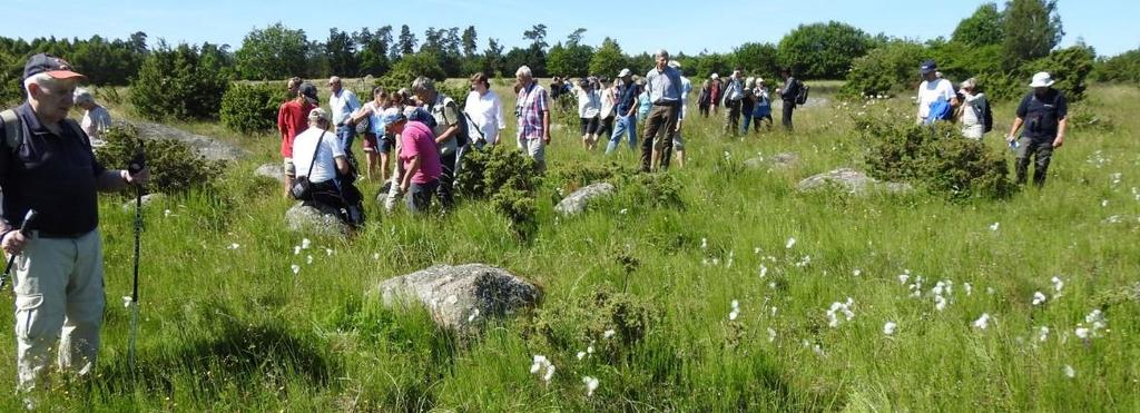 beskattas efter deras klimatpåverkan samt bränslebytet dvs att man blandar in mer biodrivmedel i de konventionella bränslena.