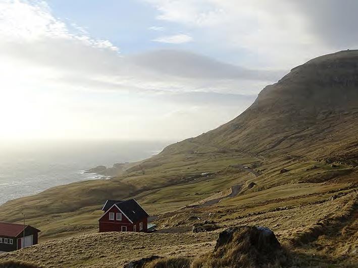 Fysisk och estetisk upplevelse och interaktion med växter och djur, ekosystem och landskap: Alla de nordiska