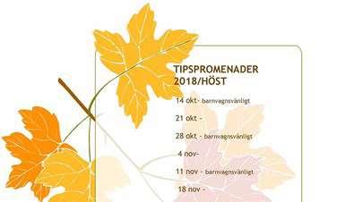 Klubbinfo - Tipspromenader - O-Ringen 2022 Lediga tjänster i lokal organisation O-Ringen 2022 Tävlingsansvarig Reseansvarig Boendeansvarig Upplevelseansvarig Ekonomiansvarig Funktionärsansvarig