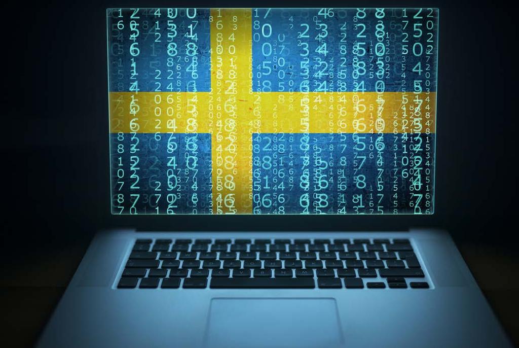 4. Digitalisering och den offentliga sektorn Statliga myndigheter, regioner och kommuner har en rad olika förpliktelser som spänner från fordonsregister och skattedeklarationer till vårdcentraler och