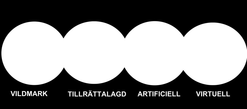 Men kan virtuella naturupplevelser verkligen konkurrera med verkliga?