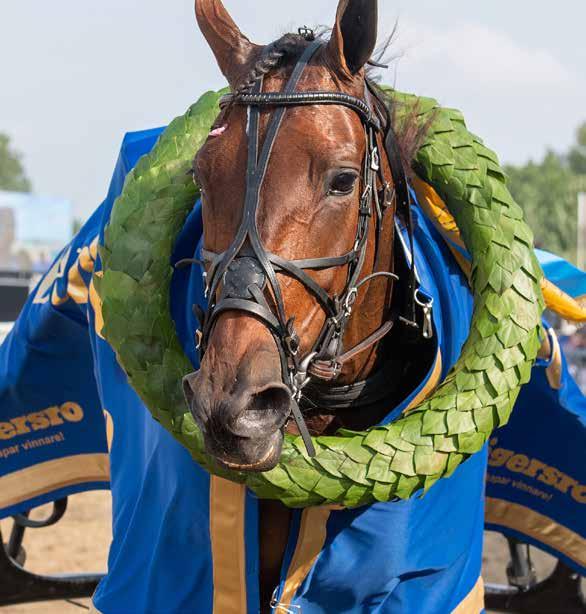 banprogram SOLVALLA