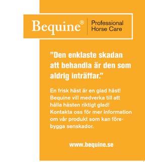 KELLY JOVALLEY 0:,0 AM, M Total: 0--.0 FÄRJESTAD // Breddlopp - Bequine-Professional Horse Care (B- & F-tränarlicens) - Stolopp - P. - Omgång 0 M AUTOSTART -åriga och äldre ston 0.000-0.