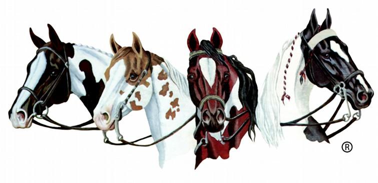 Ideal Pinto Western 336. Pinto Pony Solid Registry Ideal Pinto Western Youth (IST) Obstacle Driving 175. Allbreed Pony Obstacle Driving (up to 148 cm European) English Trail 289.