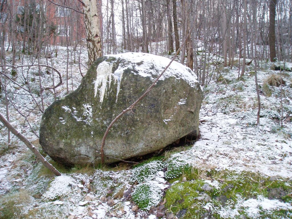 Foto taget mot väster Block och sten förekommer i varierande storlek, från några decimeter till meterstora, uppe på berghällarna i området, figur 5-3.