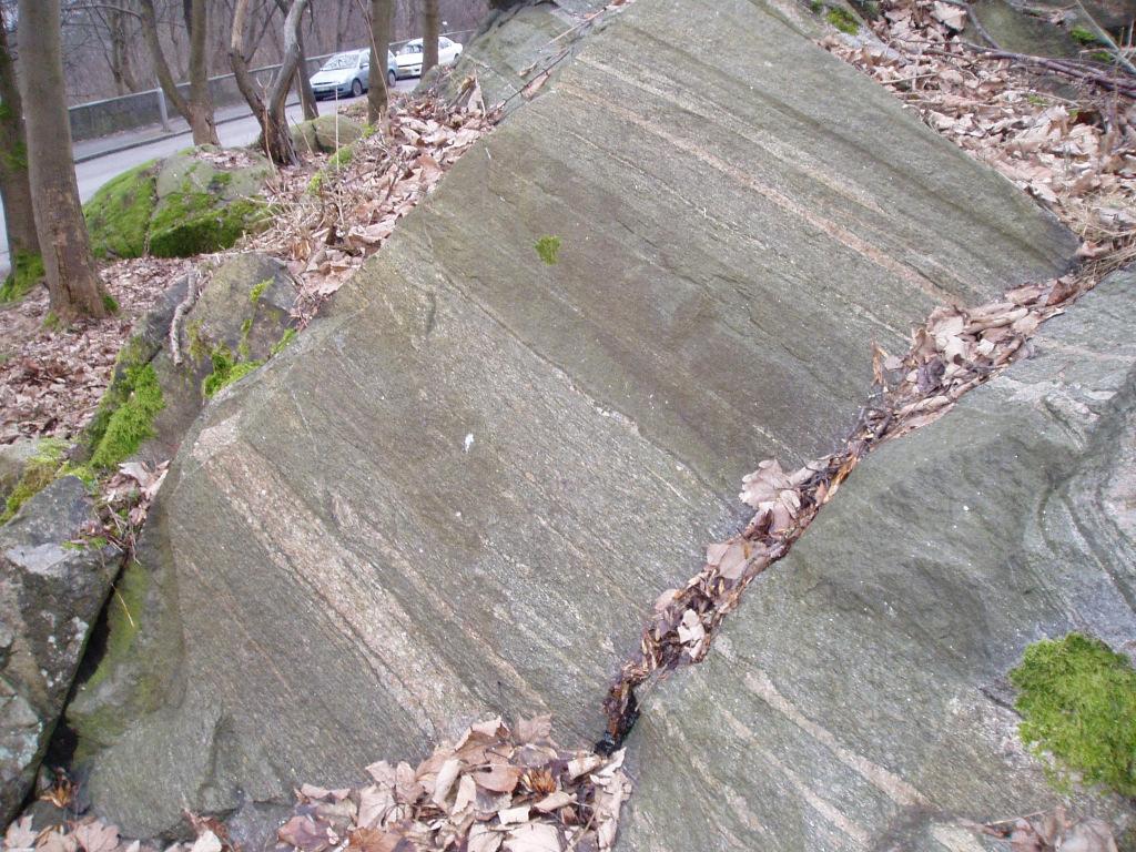 Figur 5-4. Lokal 7, Ådergnejs med granodioritisk till tonalitisk sammansättning. Foto taget mot söder Figur 5-5. Lokal 10, Pegmatit- och kvartsgång som följer foliationen. Foto taget mot väster 5.2.