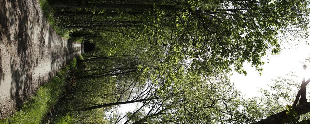 Övergripande projekt Både större och mindre projekt pågår inom Mittskåne Vatten för att förbättra och framtidssäkra verksamheten.
