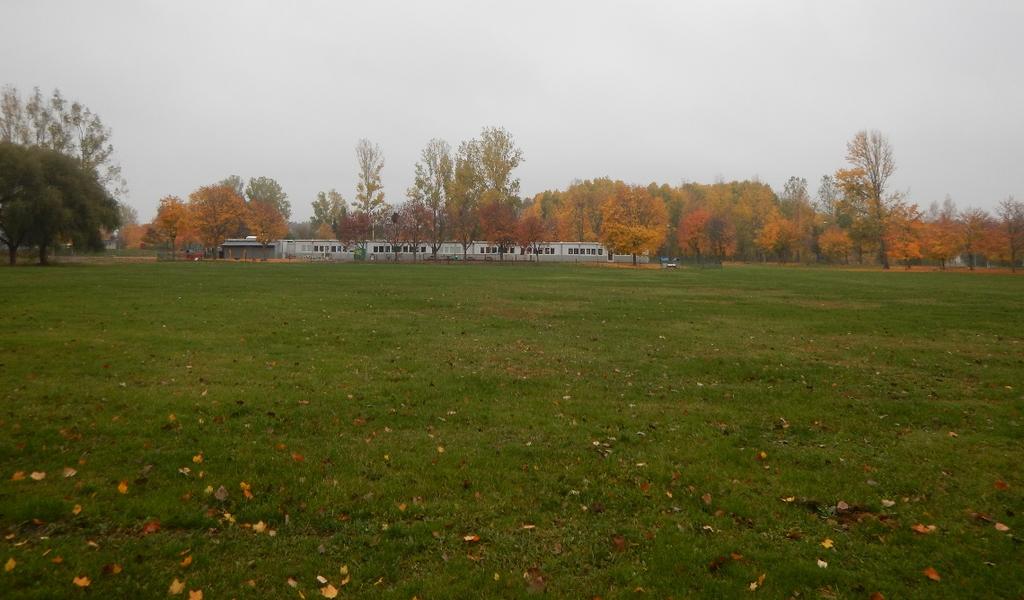 Norr om Aspbackens förskolas tillfälliga lokaler finns en ca 1,5 ha stor gräsyta som avgränsas av flertalet träd och buskar.