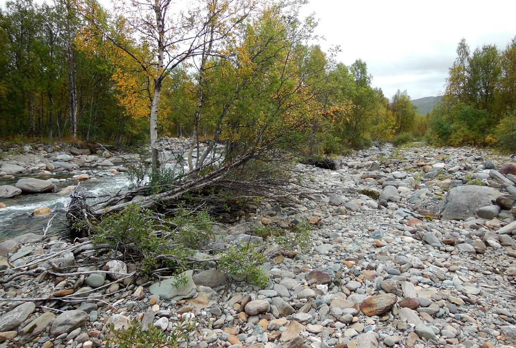Moränen i området karaktäriseras av hög silthalt. Den har fått sin sammansättning dels av den lokala skifferberggrunden, dels genom inblandning av finkorniga sediment från tidigare nedisningar.