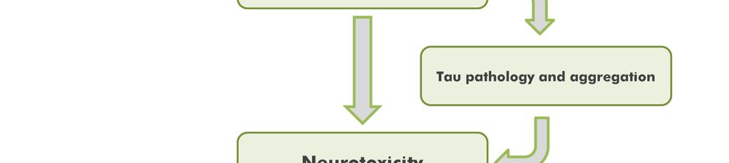 plaque build-up [26]. Amyloid plaque accumulation precedes the formation of wide-spread NFTs in AD, but the link between the two remains to be explained.