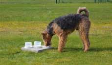 BPH bara för airedaleterrier med subvention från ATG Sedan flera år har AiredaleTerrierGillet i sitt RAS (Rasspecifika AvelsStrategier) bl a en målsättning som berör mentalitet.