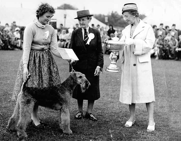 Olive Jackson med Ch Jokyl Berrieslea Monarque BIG-1 i Blackpool 1959. Swash börjat arbeta i kenneln och hon hade också några egna strävhårsfoxar med.