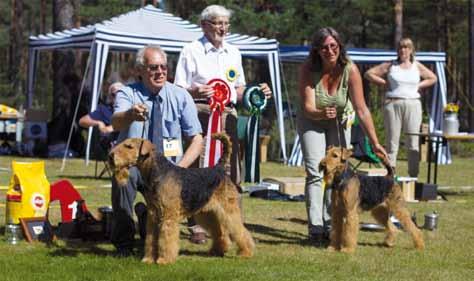 Wenche, Nord Ch Rabben s Northern Star, blir BIM på ATG:s Open Show i Morokulien 2013. Jag besökte Bjuvutställningen 2002, träffade Dodo igen som var domare där.