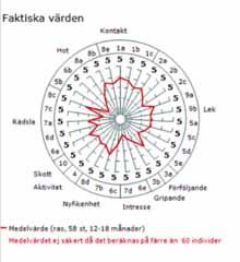 MH-diagram HD-statusen på enskilda hundar ska publiceras i AiredaleTerriern samt på hemsidan. Av avelsdjuren har glädjande nog alla sju hanhundarna känd HD-status (två med grad A, fem med grad B).