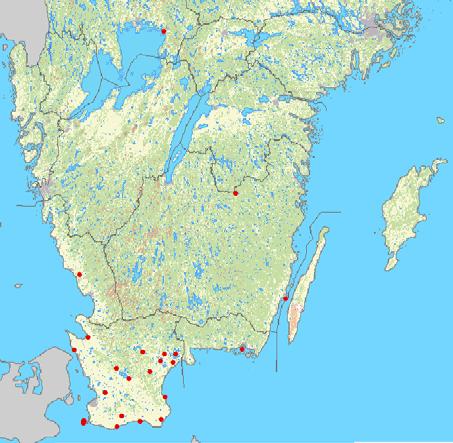 födosöksbiotoper, skydd mot störningar m.m., något som jag tycker borde förklaras vid kontakterna med EU. Tabell 1. Antal fyndlokaler för barbastell i Sverige under perioden 1978-2005.