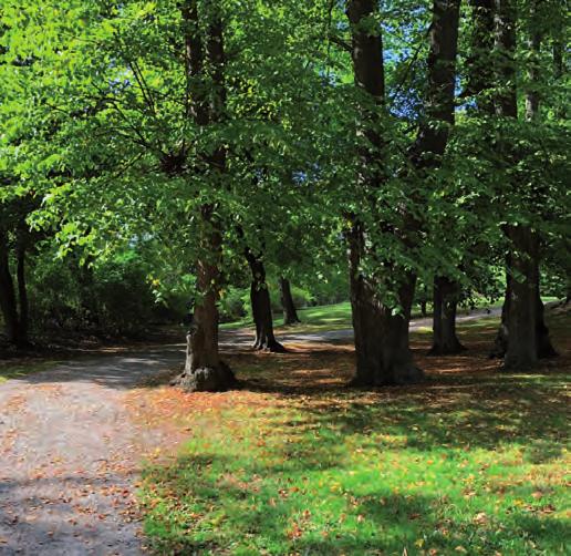 Rosenlundsparken, Fatbursparken och Drakenbergsparken är exempel på stadsdelsparker. Naturparker Naturparker är ofta kuperade, större parker med berg i dagen, stora träd och stora nivåskillnader.