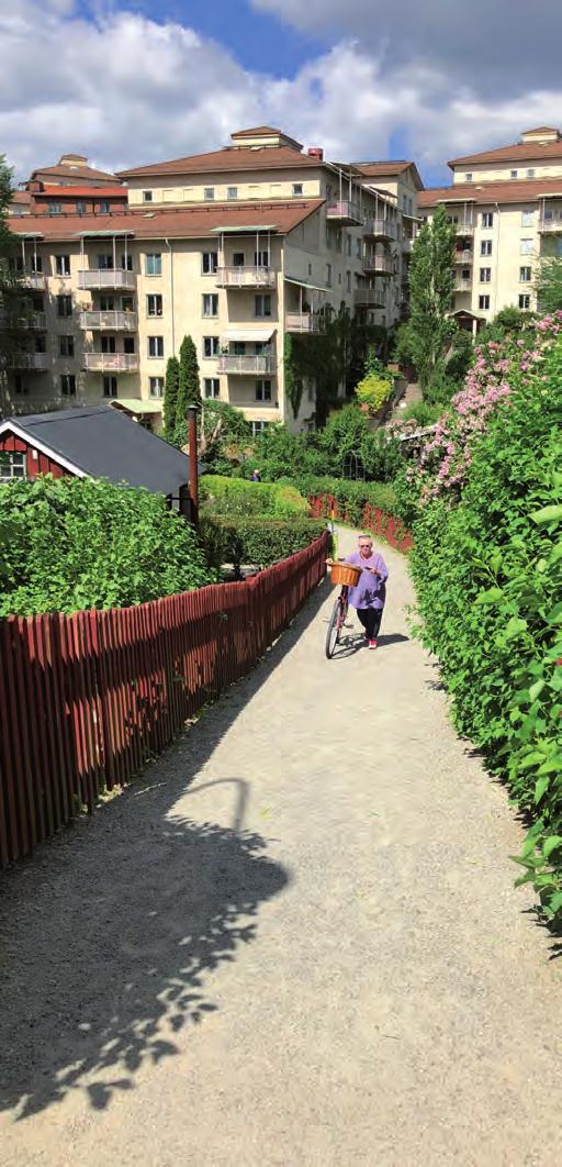 Bakgrund Parkplanen omfattar den mark som är utmärkt som park i stadens parkdatabas och ägs och förvaltas av Stockholms stad inom stadsdelsområdet.