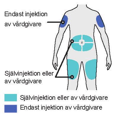 B2. Tvätta händerna B3.