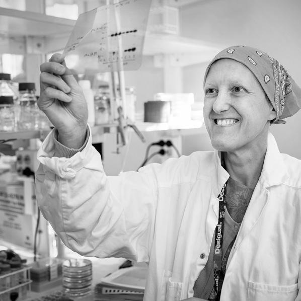 Efter postdoktoral forskning vid KI och Laval University, Kanada, etablerade Teresa Frisan en egen forskargrupp vid KI och blev docent i infektionsbiologi 2007.