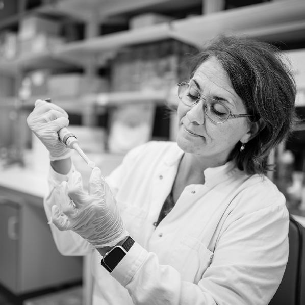 KRISTINA LEJON PROFESSOR I IMMUNOLOGI 1 MARS 2019 Kristina Lejon föddes 1967 i Boden och växte upp i Luleå.