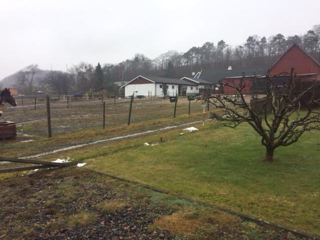 Samhällsbyggnadsförvaltningen Plankontoret KFSD 2016/359 2019-03-29 1(19) Planområdet sett från sydväst.