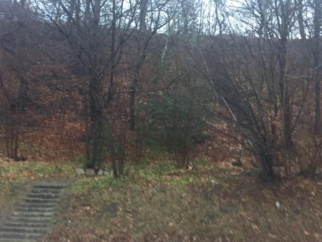 Rekreation Öster om Vramsvägen ligger Söderåsens natur- och friluftsområde som omfattar 23 000 hektar.